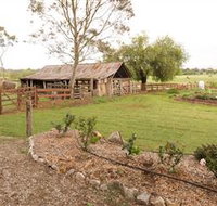 Camden Town Farm - Attractions Perth