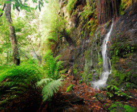 Fairy Bower Falls - Attractions Perth 0