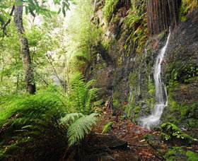 Fairy Bower Falls - Attractions Perth 2