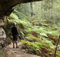 Dharug National Park - Attractions Perth