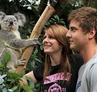 Featherdale Wildlife Park - Attractions Perth