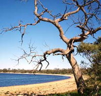 Lake Indoon - Attractions Perth
