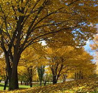 Centennial Park at Cooma - Attractions Perth