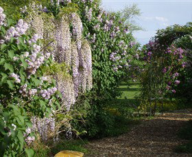 Back O The Moon - Attractions Perth 3