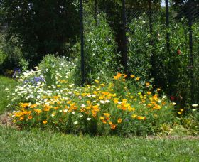 Back O The Moon - Attractions Perth 2