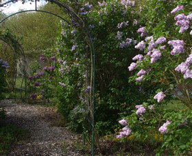 Back O The Moon - Attractions Perth 4