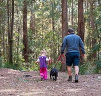 Olney State Forest - Watagan Mountains - Attractions Perth