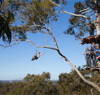 TreeTop Safari - Attractions Perth