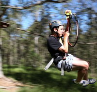 TreeTop Adventure Park Sydney - Attractions Perth