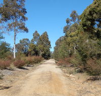 Werakata National Park - Attractions Perth