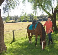 Sugarloaf Horse Centre - Attractions Perth