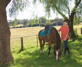 Sugarloaf Horse Centre - Attractions Perth 0