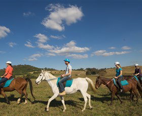 Sugarloaf Horse Centre - Attractions Perth 1