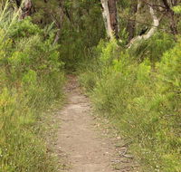 Three Views walking track - Attractions Perth