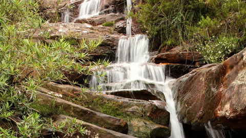 Popran National Park - Attractions Perth 1