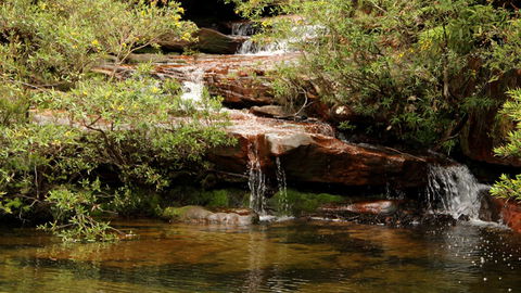 Popran National Park - Attractions Perth 2