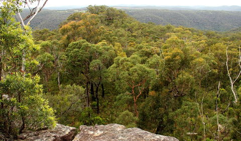 Mount Olive Lookout - Attractions Perth 0