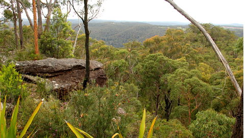 Mount Olive Lookout - Attractions Perth 2