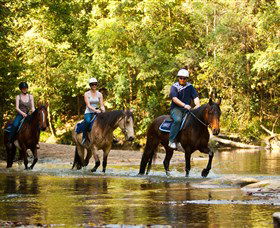 Glenworth Valley Outdoor Adventures - Attractions Perth 2