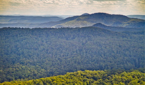 Murray Scrub Lookout - Attractions Perth 1