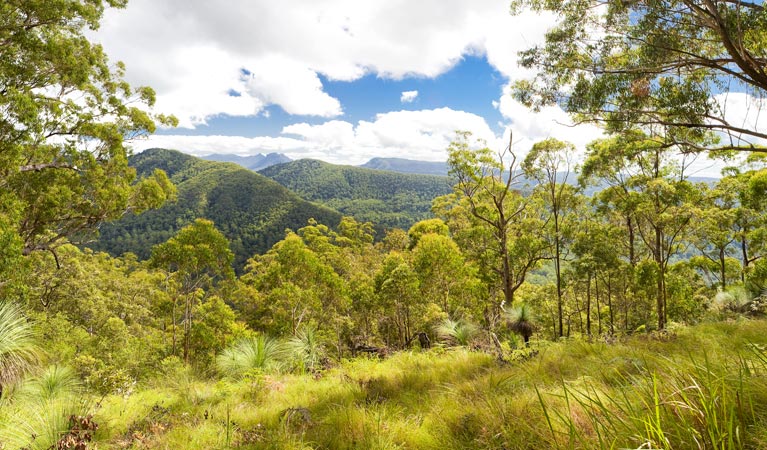 Roseberry Creek ACT Attractions Perth