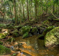 Palm Grove Nature Reserve - Attractions Perth
