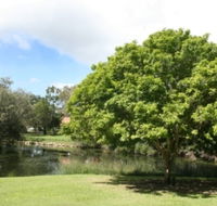 Hervey Bay Botanic Gardens - Attractions Perth
