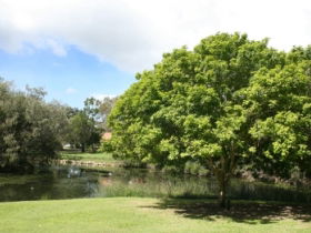 Hervey Bay Botanic Gardens - Attractions Perth 0
