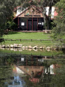 Hervey Bay Botanic Gardens - Attractions Perth 1