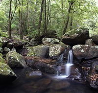 Kangaroo River - Attractions Perth