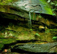 Strickland State Forest - Attractions Perth