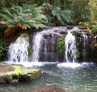 Barrington Tops National Park Walks