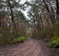 Budawang National Park - Attractions Perth