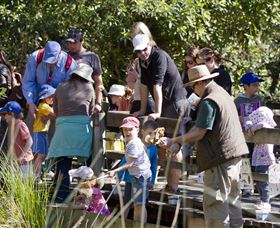 St Ives Precinct - Attractions Perth 1