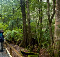 Monga National Park - Attractions Perth