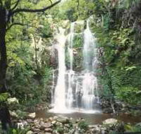 Budderoo National Park - The Falls Walk - Attractions Perth