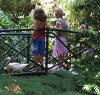 EG Waterhouse National Camellia Garden - Attractions Perth