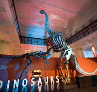 Australian Museum - Attractions Perth