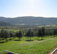Hastings Valley Olives - Attractions Perth