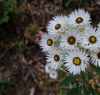 Hastings Forest Way touring route - Attractions Perth