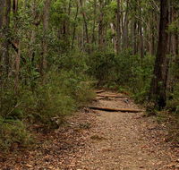 Pigeon House Mountain Didthul walking track - Attractions Perth