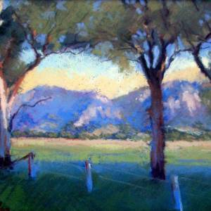 Galleries In The Gardens - Attractions Perth 4