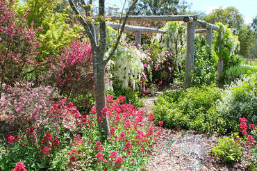 Ivy Hill Gallery - Attractions Perth 6