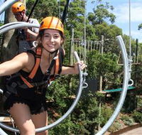 Wild Ropes at Taronga Zoo - Attractions Perth
