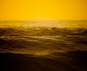 Saltmotion Gallery - Attractions Perth 2