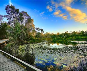 Berrinba Wetlands - Attractions Perth 0