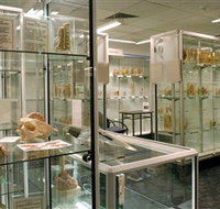 Museum of Human Disease - Attractions Perth