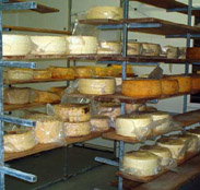 Harvey Cheese - Attractions Perth