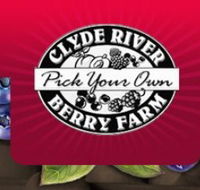 Clyde River Berry Farm - Attractions Perth