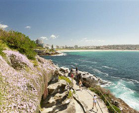 Bondi To Coogee Coastal Walk - Attractions Perth 3